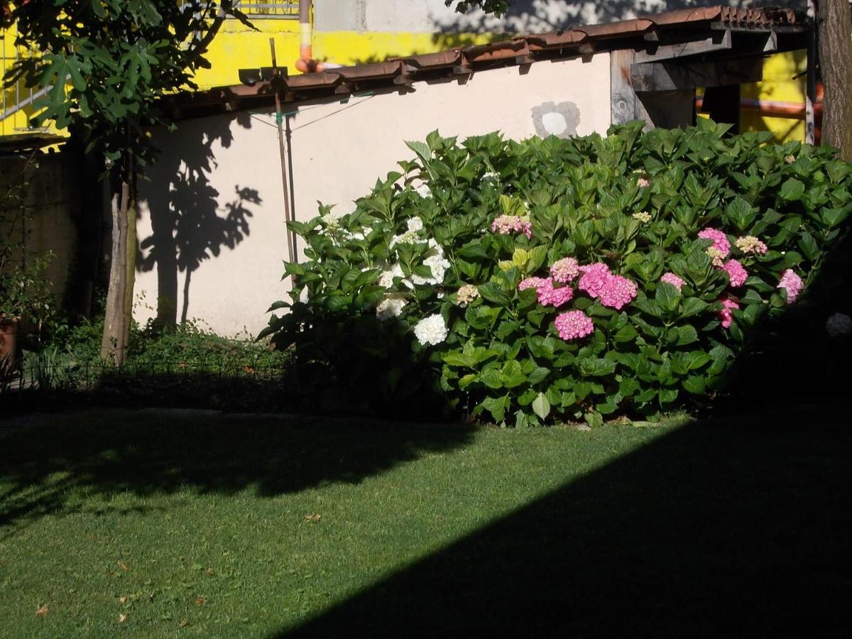 フェーニス Les Hirondelles Bed & Breakfast エクステリア 写真